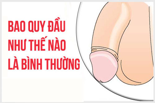 Bao quy đầu như thế nào là bình thường