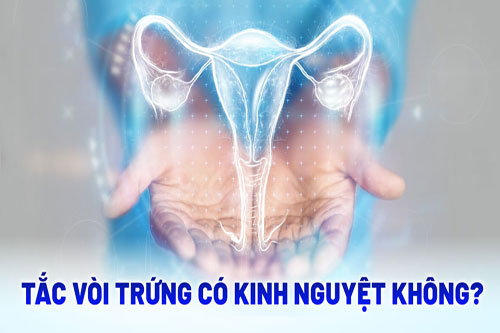 Bị tắc vòi trứng có kinh nguyệt không