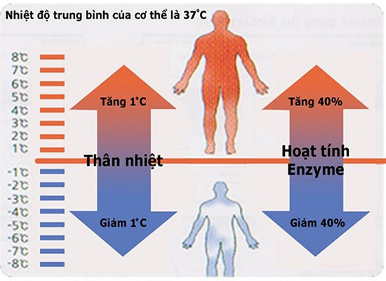 Nguyên nhân thân nhiệt tăng, giảm do đâu?