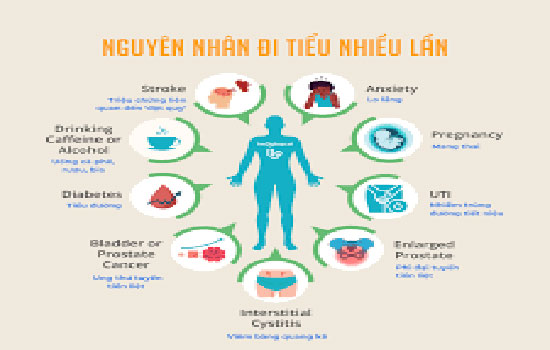 Nguyên nhân dẫn đến đi tiểu nhiều lần