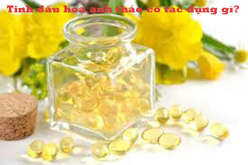 Tinh dầu hoa anh thảo có tác dụng gì