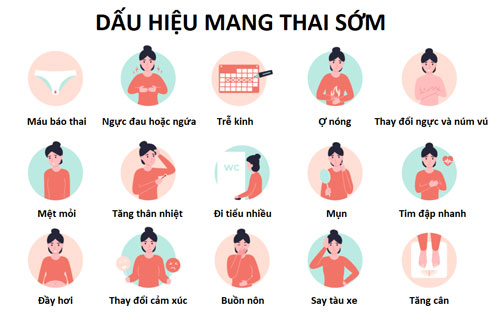 20 dấu hiệu có thai sớm nhất khi chưa đến kỳ kinh