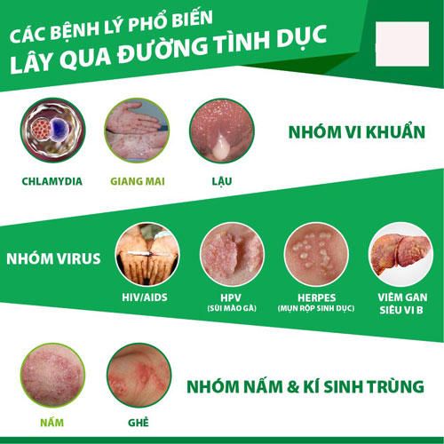 Các bệnh lây qua đường tình dục phổ biến nhất