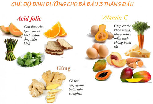 Chế độ dinh dưỡng khi mang thai 3 tháng đầu Chế độ dinh dưỡng khi mang thai 3 tháng đầu
